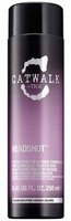 Кондиционер для восстановления поврежденных волос - TIGI Catwalk Headshot Conditioner